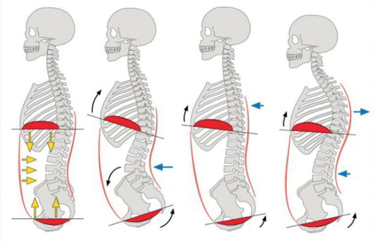 Breathing and Bracing: The Hidden Key to Unlocking Your Strength